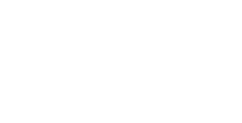 The Knowledge Society