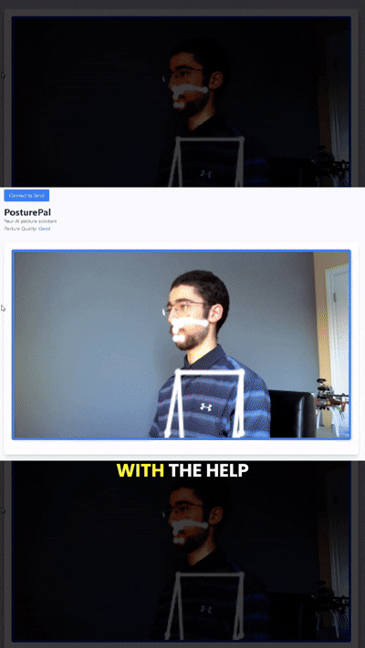 Posture Pall project image