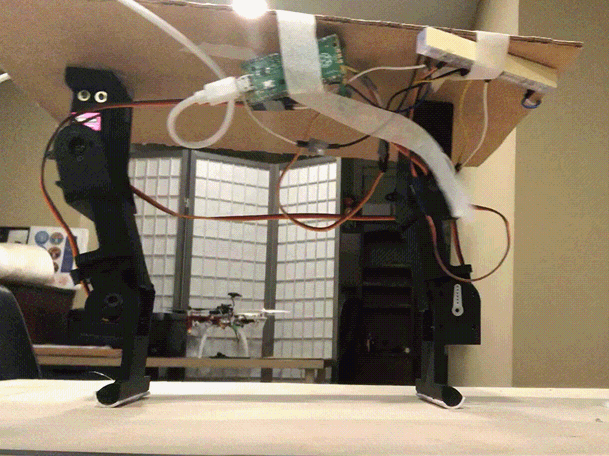 Image for Developing a Robotic Claw and Walking Algorithm